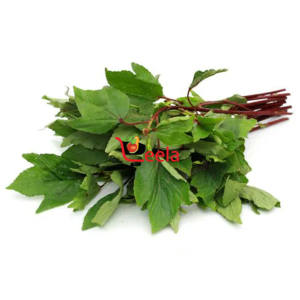 GONGURA LEAVES (1 PACKET)