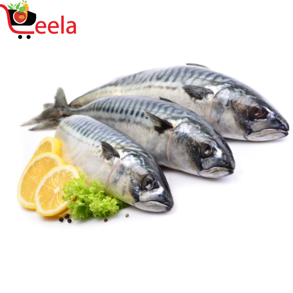 INDIAN MACKEREL (PER LB)