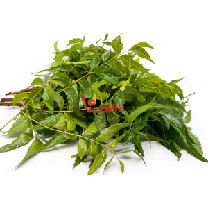 NEEM LEAVES (PER PACKET)