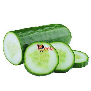 CUCUMBER (EACH)