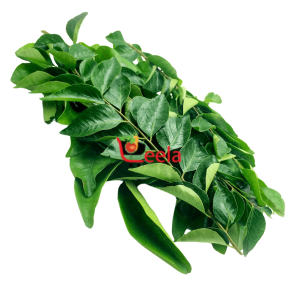 CURRY LEAVES INDIAN ( 1 PACK)