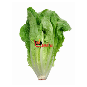 LETTUCE (EACH)
