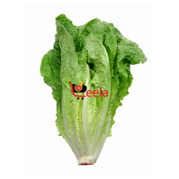 LETTUCE (EACH)