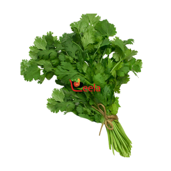 CORIANDER LEAVES (1 PACK)