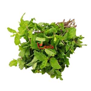 MINT LEAVES (PER PACKET)