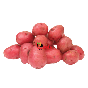 RED LOOSE POTATO (PER LB)