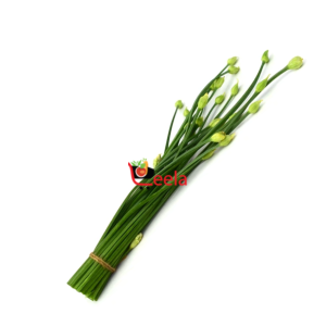 ONION FLOWER (PER LB)