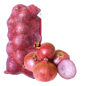 RED ONIONS 10 LB