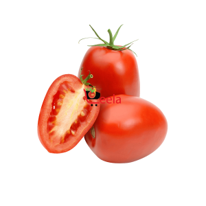 ROMA TOMATO (PER LB)
