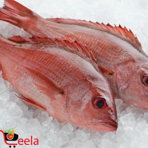 RED SNAPPER (PER LB)